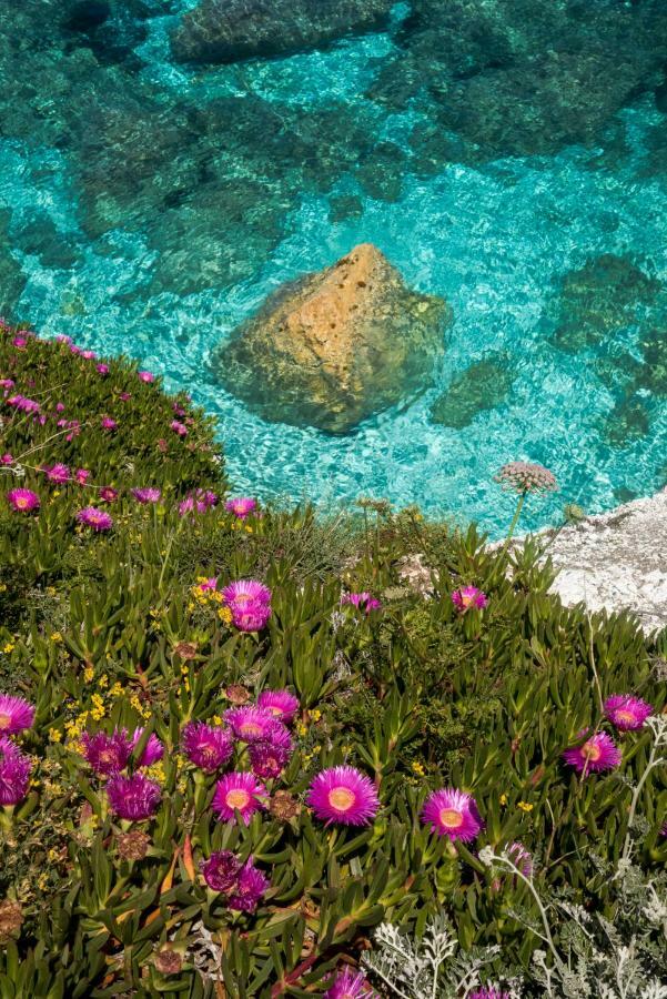 Hotel Acquamarina Portoferraio Bagian luar foto